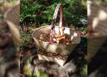 For Export: productora misionera comparte sus experiencias en ferias internacionales