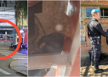 Insólito: entró a robar en un local del centro posadeño y se quedó dormido