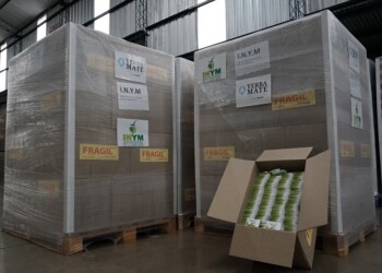 Buscan que la yerba mate sea parte del catering de Aerolíneas Argentinas