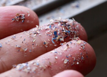 Otra amenaza silenciosa, nuestro editorial de hoy