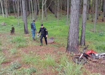 Joven motociclista murió tras chocar contra un árbol