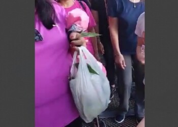 Robo de orquídea en Cataratas: “No es habitual”