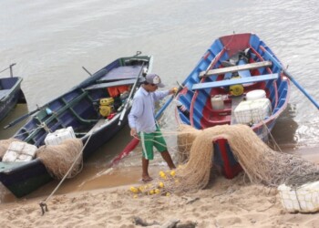 Detectan incremento de algunas especies en el río Paraná