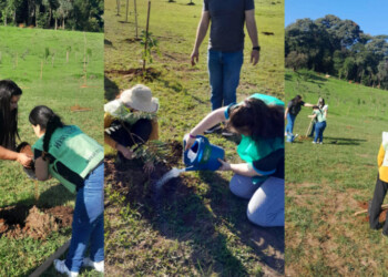 Plantaron 50 nuevos árboles en el Jardín Botánico “Alberto Roth”
