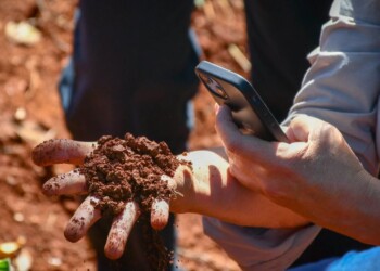 CONSERVACIÓN DEL SUELO. El objetivo es concienciar sobre la importancia de protegerlo y conservarlo.