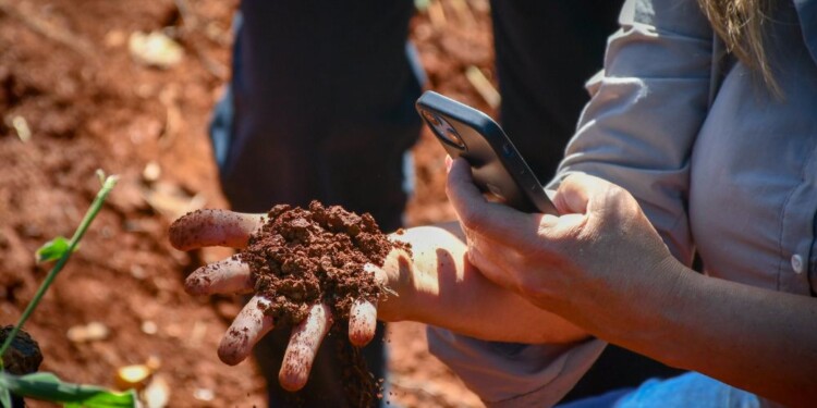 CONSERVACIÓN DEL SUELO. El objetivo es concienciar sobre la importancia de protegerlo y conservarlo.