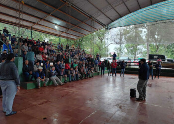 Yerbateros piden que se flexibilicen controles laborales