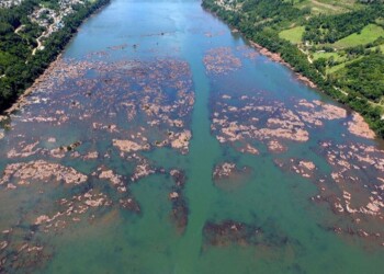 “La variabilidad climática que observamos hoy es mucho más dinámica y potenciada que décadas atrás”