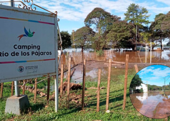 Santo Tomé y Paso de los Libres en alerta por la crecida del río Uruguay