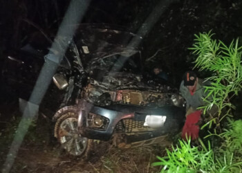 Una familia despistó tras impactar contra un árbol caído sobre la ruta 7