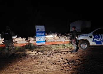 Secuestran casi diez toneladas de soja que pretendían cruzar de Misiones a Brasil