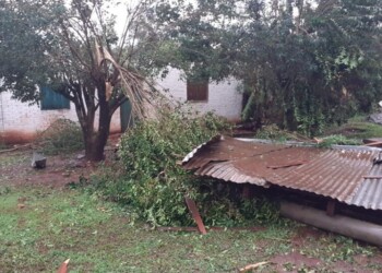 Temporal de lluvia y viento causó inconvenientes en la zona Norte de Misiones