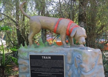 Train ya tiene su monumento