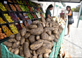 La papa y el ajo subieron 500% en un año, la batata y la uva 300%, la cebolla bajó 50%