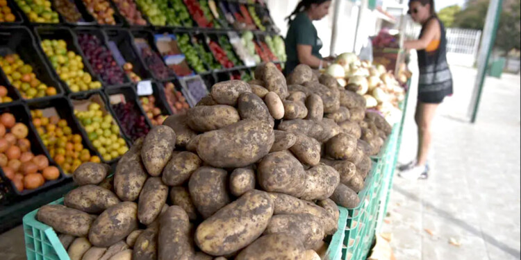 INESTABILIDAD. Además de la inflación constante, el precio de las verduras está sometido a inclemencias del clima.