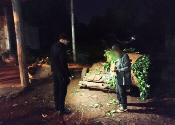 Truncaron pesca ilegal, robo de raídos y secuestraron armas de caza furtiva