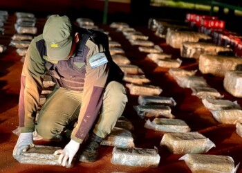 Escondían más de 200 kilos de marihuana entre paquetes de yerba