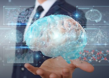 ¿Cuáles son nuestros  tres cerebros?