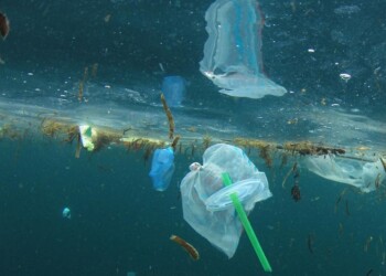 ¿Estamos a tiempo? Nuestro editorial de hoy