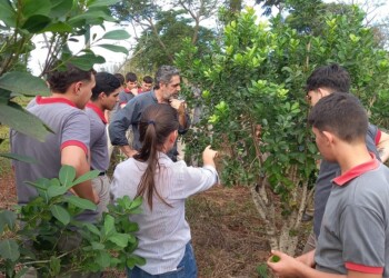 Legado ancestral: seis años de la recuperación del huerto jesuítico-guaraní