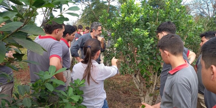 TEORÍA Y PRÁCTICA. Todo lo que se aprende en el aula de forma teórica se aplica más tarde en el campo, donde el trabajo se hace desde cero.