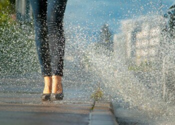 La realidad no es la verdadera