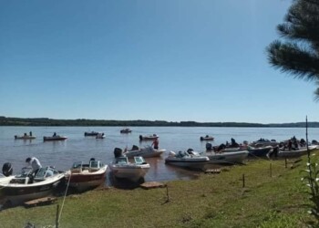 Variada, dorado y boga en Corpus