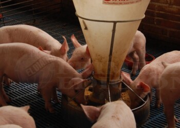 Actualizaron programa de fortalecimiento productivo