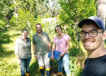 Trabajan en el control de plagas que afecta a cultivos de yerba