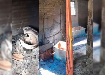 Vandalismo en una chacra de Loreto: “Pareciera que es tierra de nadie”