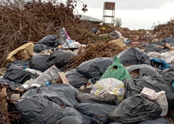 Por tercera vez en este año, se incendió el basural que está junto al IEA 7 de Garupá