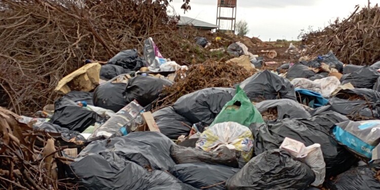 EN RIESGO. Al acumularse las ramas y otros residuos en los alrededores, aumenta el riesgo de incendios durante los días más calurosos. Misteriosamente, los focos de fuego suelen registrarse por las noches y fines de semana.