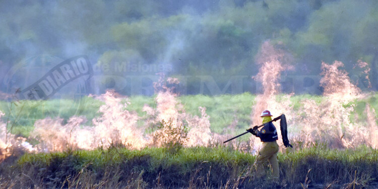 Las malezas son las que más se incendiaron durante estos primeros meses en Misiones