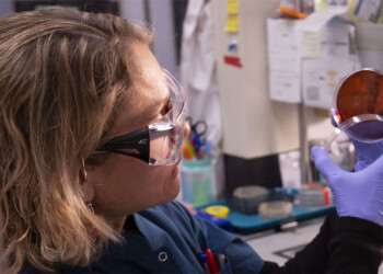 Científica argentina estudia superbacteria con alta tasa de mortalidad y resistente a antibióticos