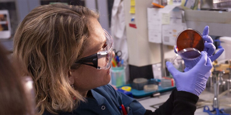 Foto: www.agenciacyta.org.ar