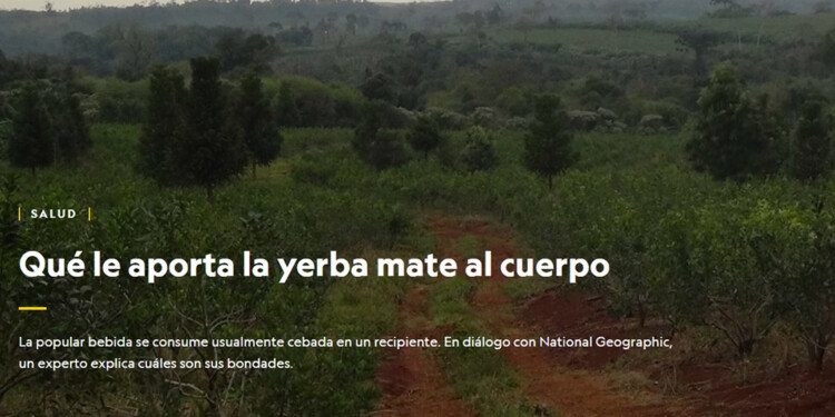 INTERÉS POR LA YERBA. Desde el punto de vista alimenticio, el producto volvió a la web de la National Geographic