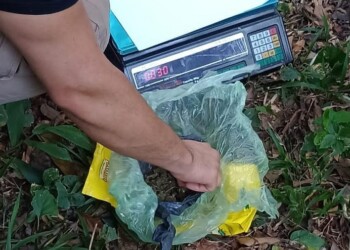 Frustraron el ingreso de marihuana al penal de Loreto