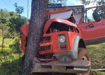 Joven camionero resultó herido tras chocar contra un pino en Panambí