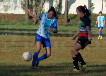 Finde de definiciones en Eldorado