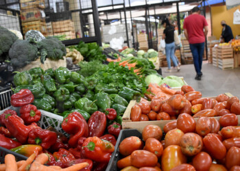 Gervasoni sostuvo que no pueden limitar los precios en los mercados concentradores