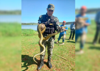 Rescataron a una boa curiyú atrapada en una red de pesca en el arroyo Mártires