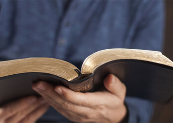 Dejemos que la palabra transforme nuestra vida