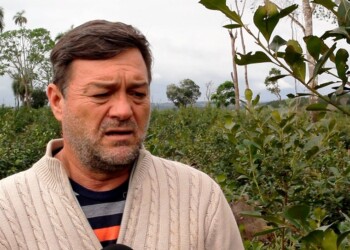 “Cacho” Bárbaro: “Hay una mafia del tabaco que te aprieta para que te quedes quieto y si no, te meten preso”