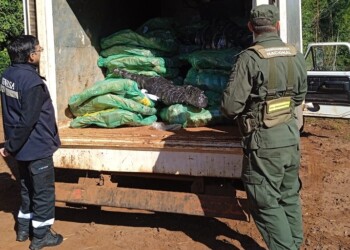 Intentaban cruzar a Paraguay con más de 3.000 kilos de carne vacuna sin cadena de frío