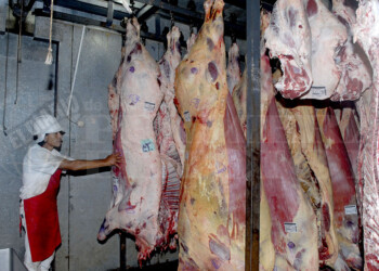Frigoríficos anticipan faltante de carne vacuna tras una nueva suba de precios