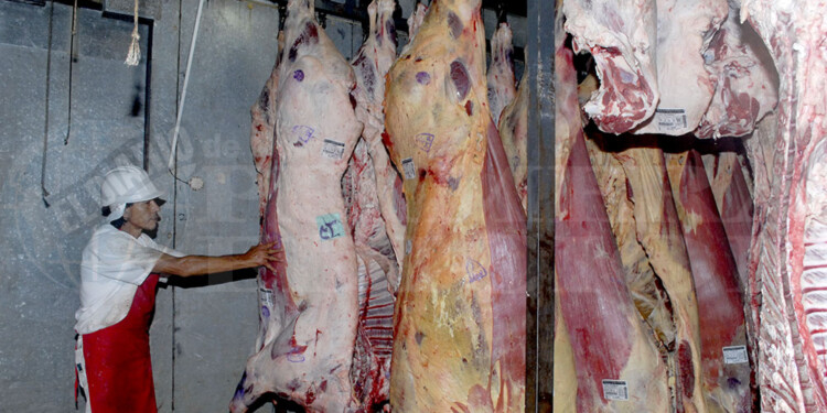 MENOS VACAS. El faltante de producción limita a las carnicerías a acceder a medias reses.