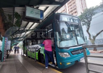 Alberto Penayo ante el paro de colectivos: “No es que no queramos actuar, no tenemos competencia”