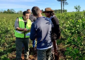 Yerbateros convocan a una asamblea contra las inspecciones laborales: “El colono está cansado” 