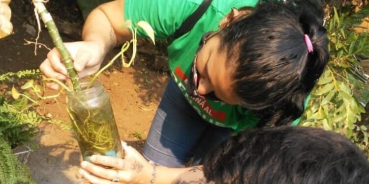 VISITA. Agentes de saneamiento municipal y provincial visitarán los domicilios esta semana.