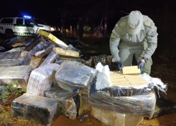 San Vicente: hallaron casi 4 toneladas de marihuana entre la maleza